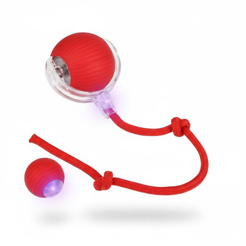 Automatic  cat teaser ball