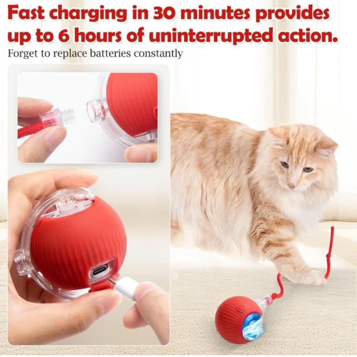 Automatic  cat teaser ball